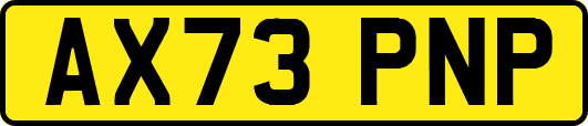 AX73PNP