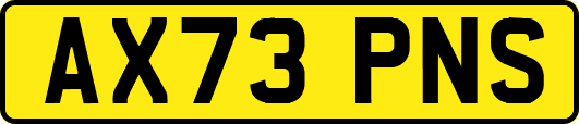 AX73PNS