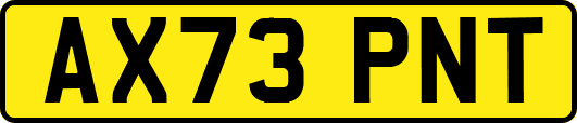 AX73PNT