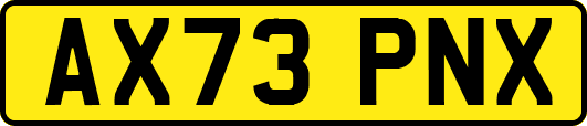 AX73PNX