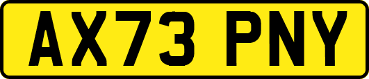 AX73PNY