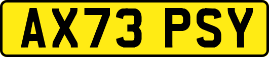 AX73PSY