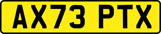 AX73PTX