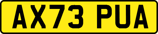 AX73PUA