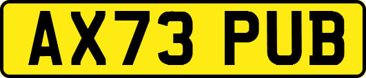 AX73PUB