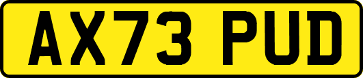 AX73PUD
