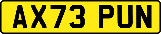 AX73PUN