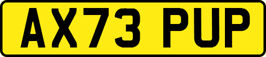 AX73PUP