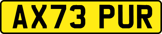 AX73PUR