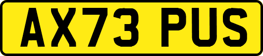 AX73PUS