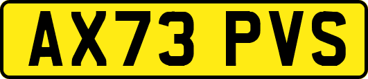 AX73PVS