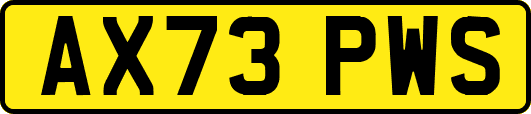 AX73PWS