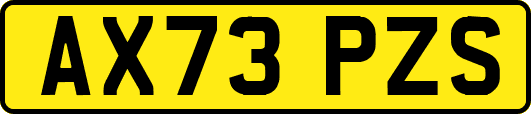 AX73PZS