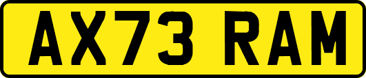 AX73RAM