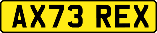 AX73REX