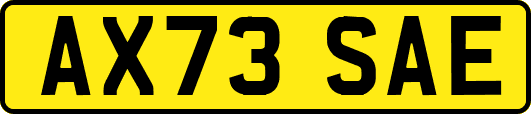 AX73SAE