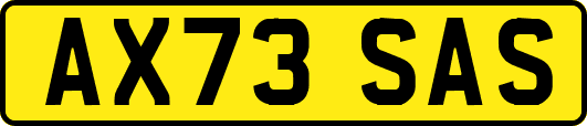 AX73SAS