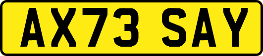 AX73SAY