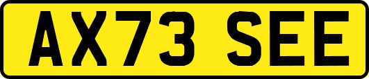 AX73SEE