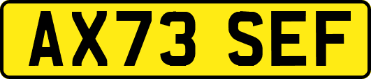 AX73SEF
