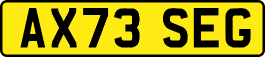AX73SEG
