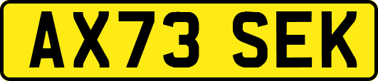 AX73SEK