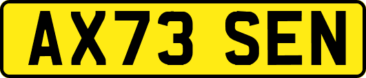 AX73SEN