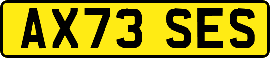 AX73SES