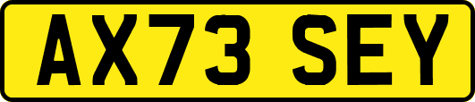 AX73SEY
