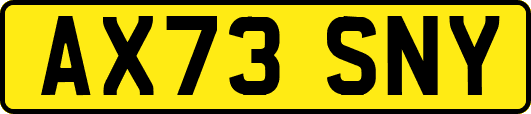 AX73SNY