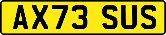AX73SUS