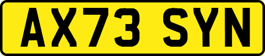 AX73SYN