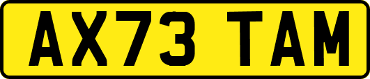 AX73TAM