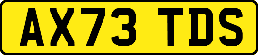 AX73TDS