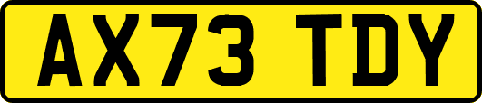 AX73TDY
