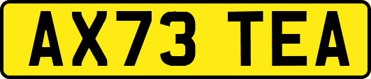 AX73TEA