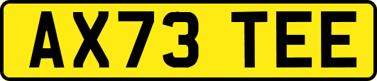 AX73TEE