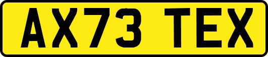 AX73TEX