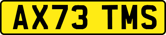 AX73TMS