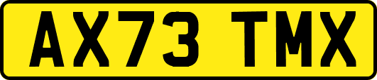 AX73TMX
