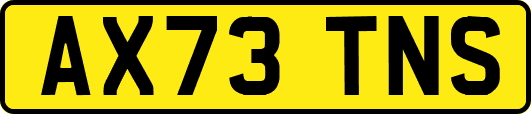 AX73TNS
