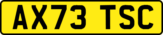 AX73TSC