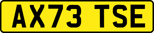 AX73TSE