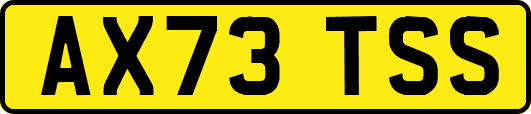 AX73TSS