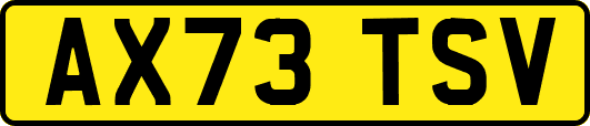AX73TSV