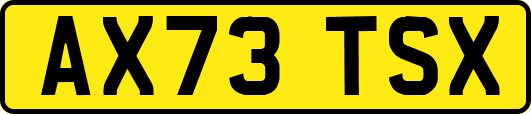 AX73TSX