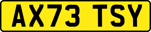 AX73TSY