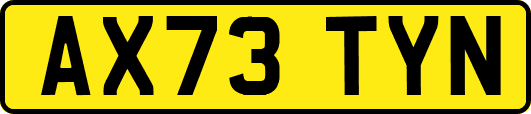 AX73TYN