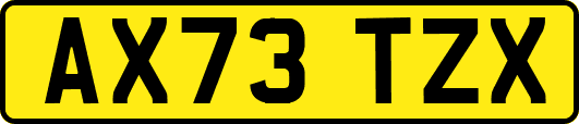 AX73TZX