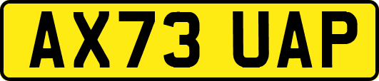 AX73UAP
